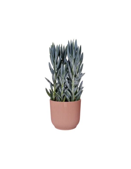Maceta Vibes Fold Round 18 cm Rosa  Diseño Moderno y Elegante para Plantas | Endanea Garden