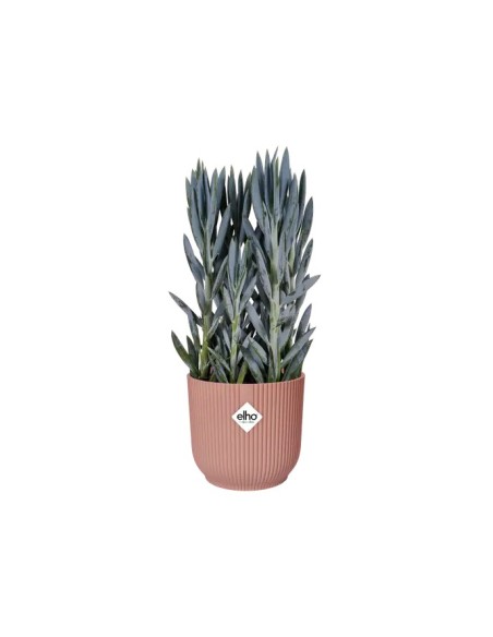 Maceta Vibes Fold Round 14 cm Rosa  Elegante y Moderna para Plantas Pequeñas | Endanea Garden