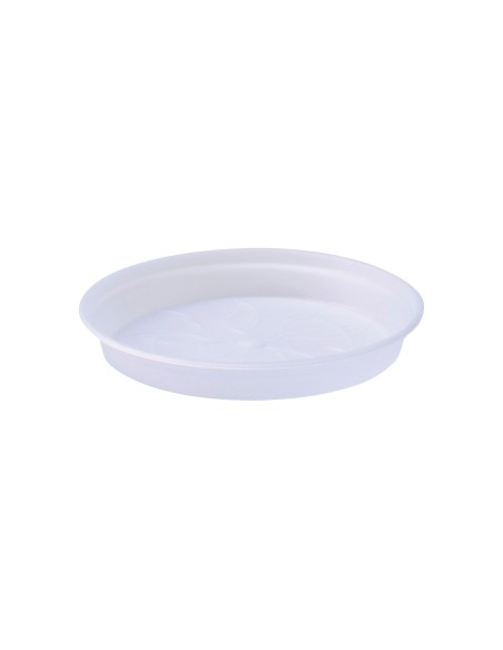 Plato G.B. Orquídea 14cm Transparente - Ideal para Macetas de Orquídeas | Endanea Garden