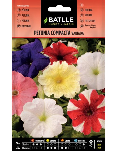 SEMILLA PETUNIA COMPACTA VARIADA