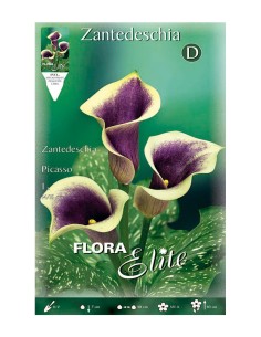 BULBO CALA PICASSO BATLLE