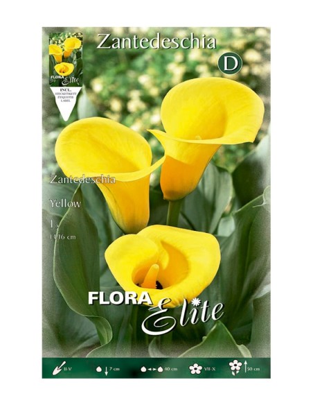 BULBO CALA AMARILLA BATLLE