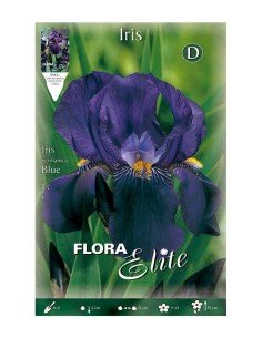 BULBO IRIS GERMANICA AZUL BATLLE