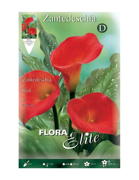 BULBO CALA ROJO BATLLE