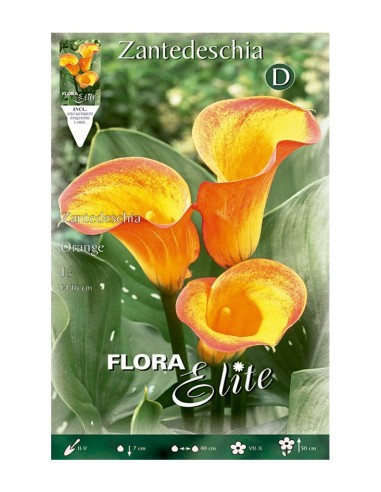 BULBO CALA NARANJA BATLLE