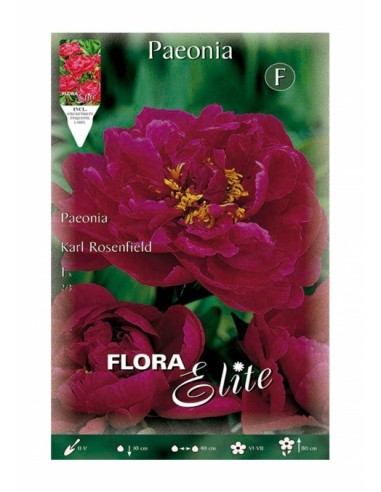 BULBO PEONIA KARL ROSENFIELD