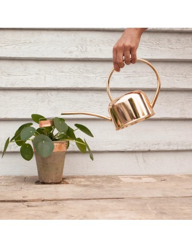 CINTA DE COBRE ANTICARACOLES ESSCHERT