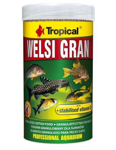 WELSI GRAN  1000ML
