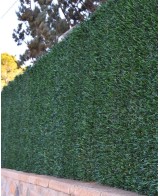 SETO BICOLOR HOJA ANCHA 2X3M