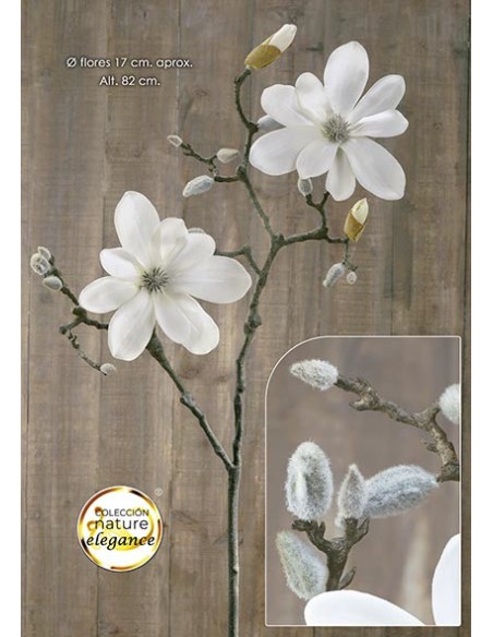 RAMA MAGNOLIA 82CM CREMA