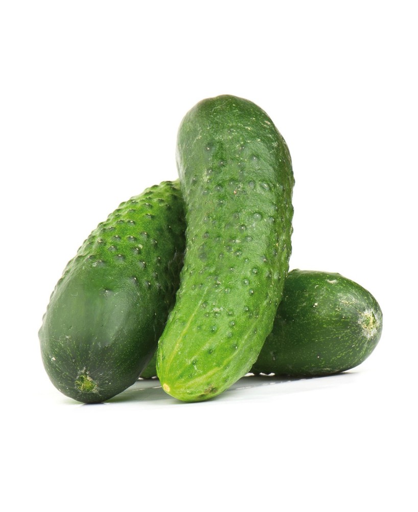 PEPINO ESPAÑOL PACK 1
