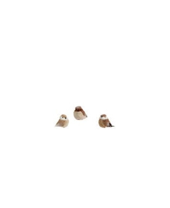 PAJARO  L.7cm x W.11cm x H.9cm