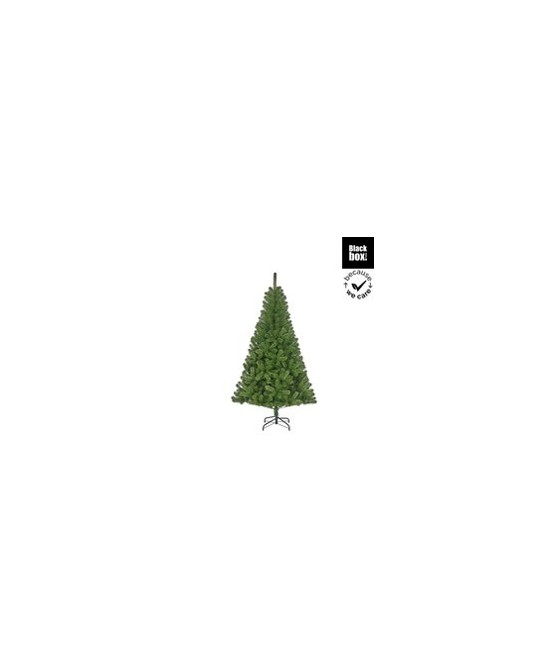 PINO ALDERFEN VERDE H180XD140CM