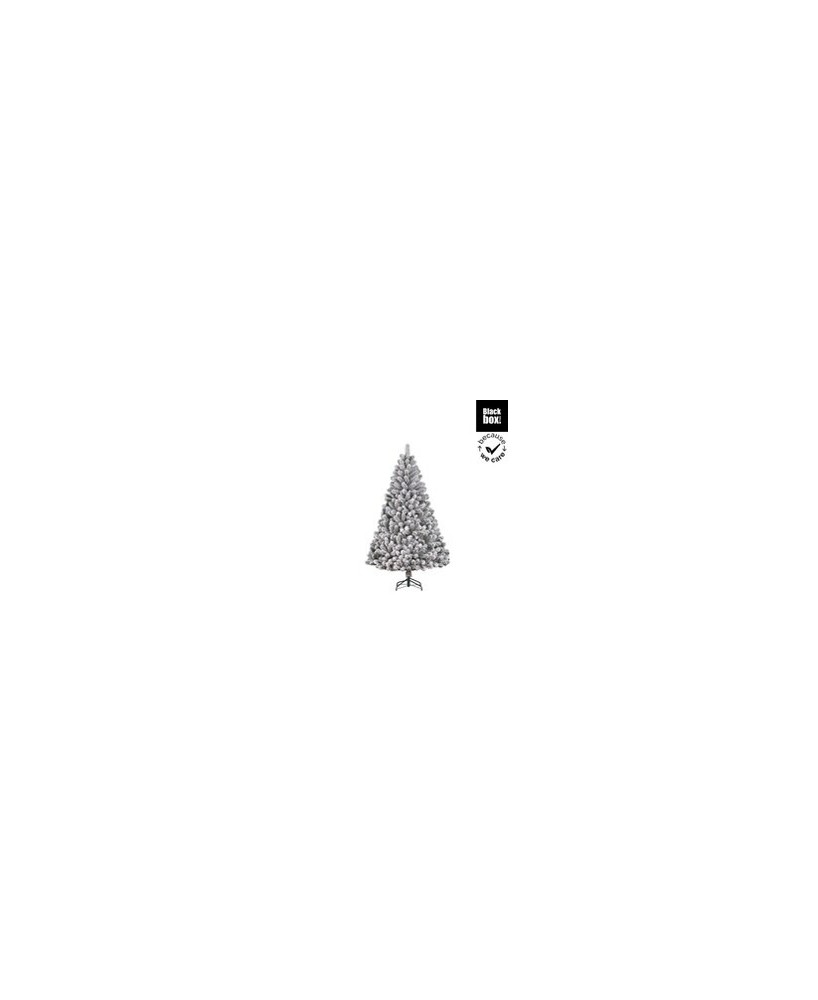 PINO ALDERFEN NEVADO H180XD114CM