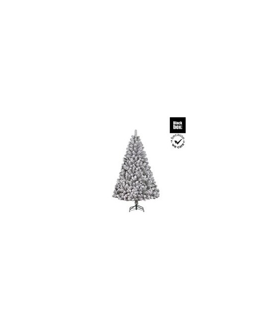 PINO ALDERFEN NEVADO H210XD137CM