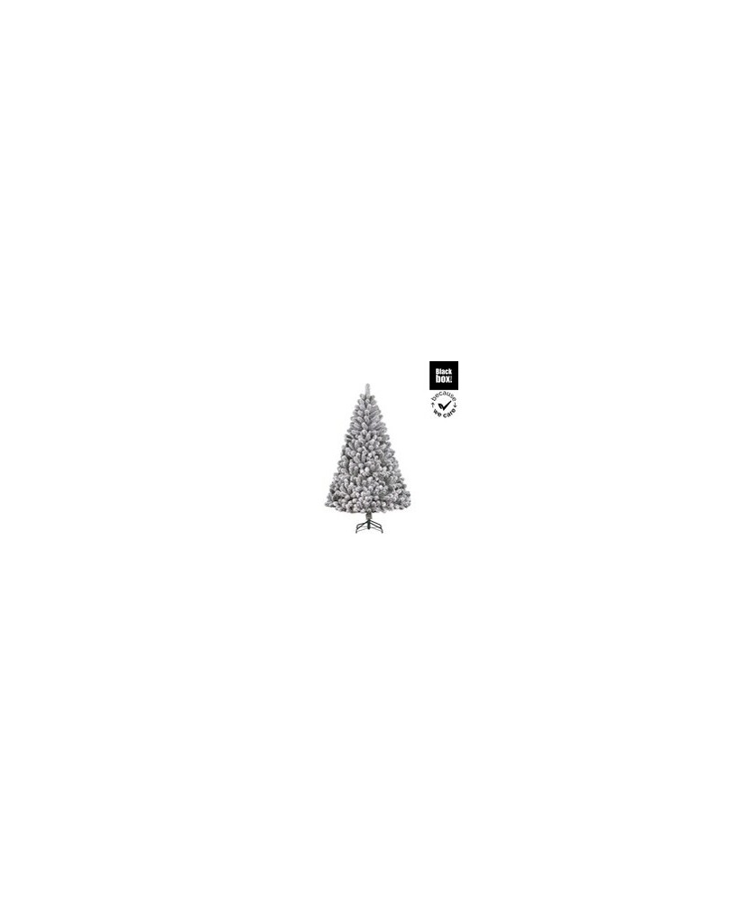PINO ALDERFEN NEVADO H210XD137CM