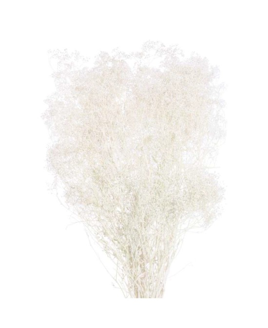 GIPSOPHILA MINI BLANCO