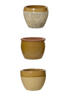 Maceta de Terracota Amarilla Mediana  Color y Durabilidad para Interior y Exterior