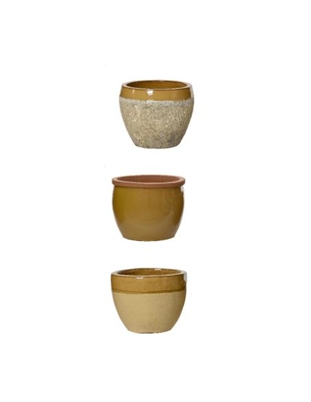 Maceta de Terracota Amarilla Mediana  Color y Durabilidad para Interior y Exterior