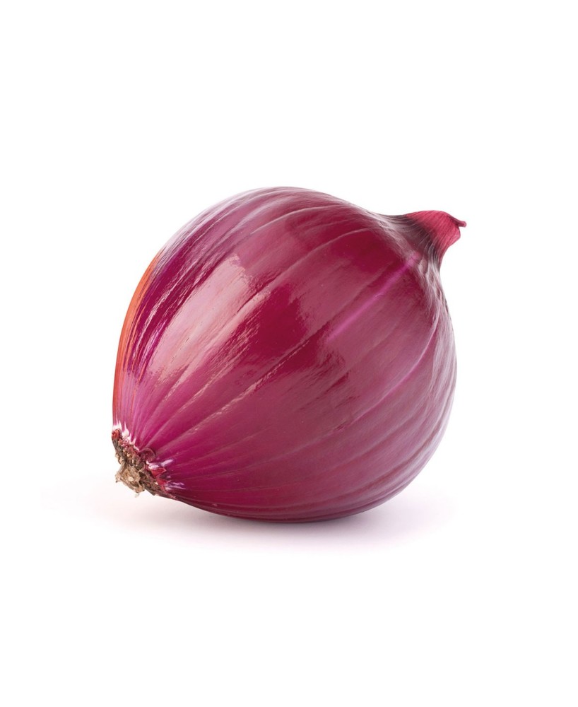 CEBOLLA MORADA PACK 12