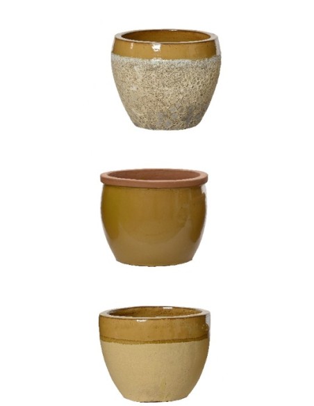 Maceta Terracota Amarilla Mediana  Durabilidad y Estilo para Interior y Exterior