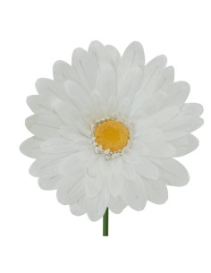 FLOR GERBERA BLANCA 70X70X150CM