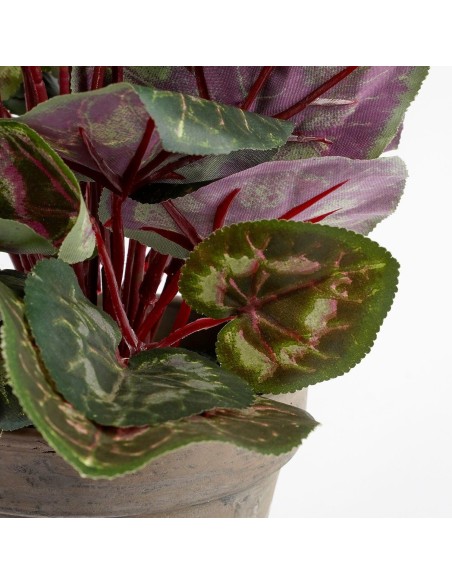 CYCLAMEN ROSA EN MACETA GRIS