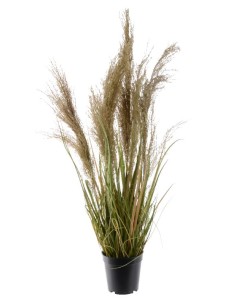 HIERBA EN MACETA VERDE 30CM