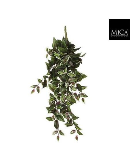 TRADESCANTIA COLGANTE VERDE