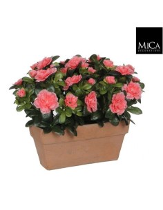 AZALEA  SALMON MACETA 29X13X27CM