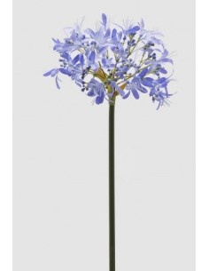 AGAPANTHUS RAMO AZUL