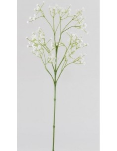RAMA GYPSOPHILA OLIS BLANCA