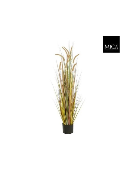 PLUME GRASS FOXTAIL  120X45CM