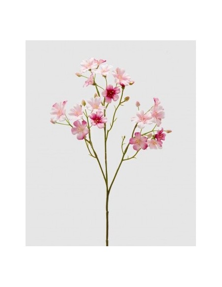 OXALIS RAMO DOS TONOS ROSA