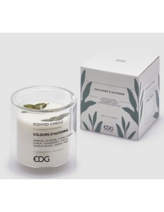 VELA PERFUME COLORES OTOÑO H12 D12 C4