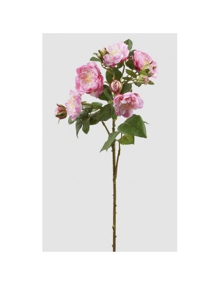 ROSA FRANCESE RAMO CON BROTEN DOS TONOS ROSA