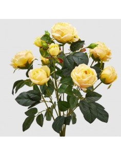 ROSAPEONIA CHIC AMARILLO CLARO