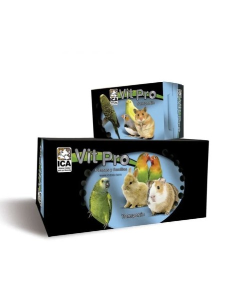 Transportín Cartón Pequeño para Mascotas Resistente y Ecológico en Endanea Mascotas