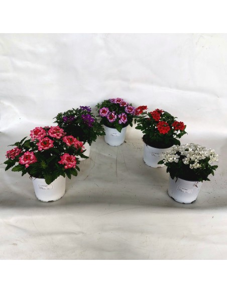 VERBENA DRUMS MIX SHELVES  Estantes Modernos para Jardín y Exterior | Endanea Garden

