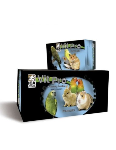 Transportín de Cartón Grande para Mascotas | Seguro y Cómodo | Endanea Mascotas