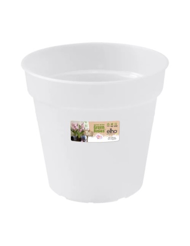 Maceta GB Orquídea Transparente 13 cm  Ideal para el Crecimiento de Orquídeas | Endanea Garden