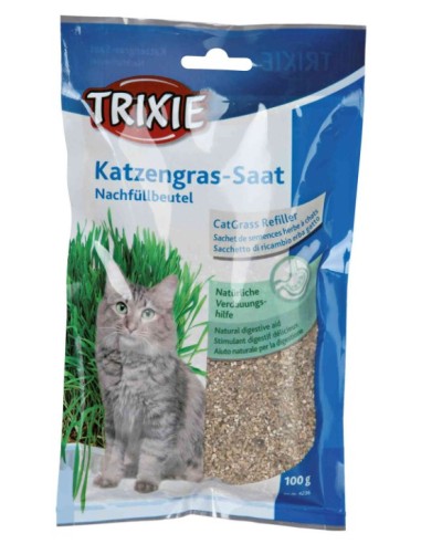 Hierba para Gatos con Bandeja 100g | Salud Digestiva y Entretenimiento Natural

