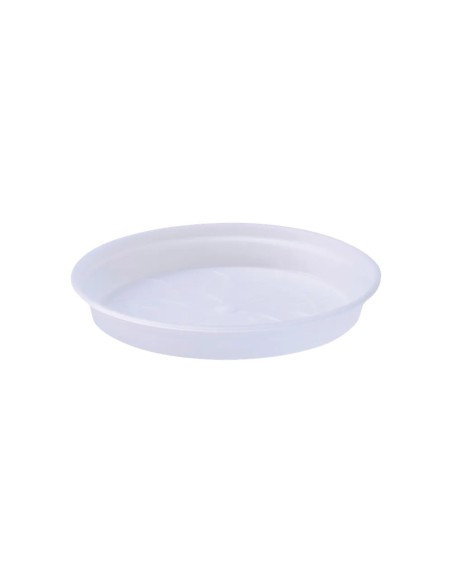 Plato G.B. Orquídea Transparente 10 cm - Protección y Estilo para tus Plantas | Endanea Garden