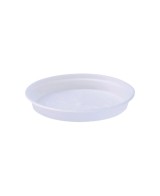 Plato G.B. Orquídea Transparente 10 cm - Protección y Estilo para tus Plantas | Endanea Garden