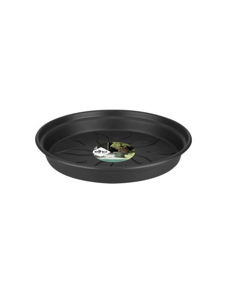 Plato G.B. 29CM Negro para Macetas | Protección y Estilo | Endanea Garden
