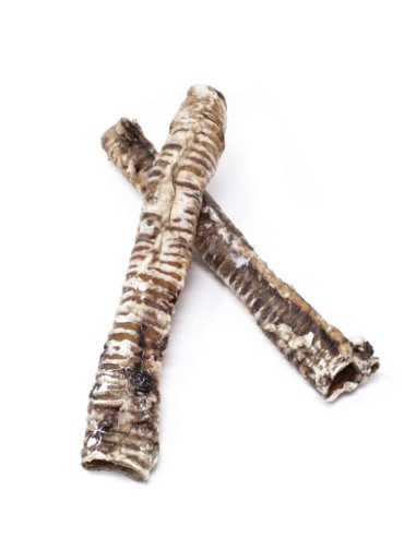 Traquea Ternera XL x2 - Snack Natural para Perros Grandes y Medianos | Endanea Mascotas