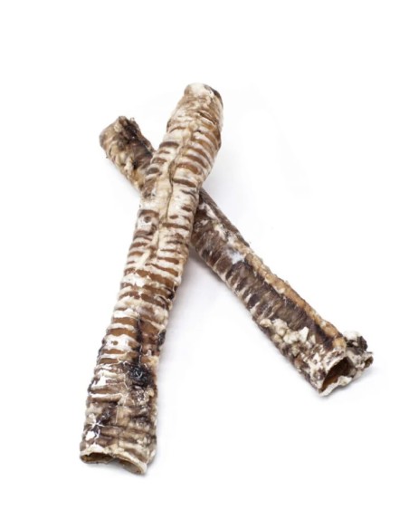 Traquea Ternera XL x2 - Snack Natural para Perros Grandes y Medianos | Endanea Mascotas