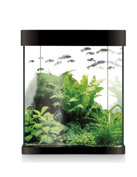 Rama Mariposa D8xH22cm Verde - Decoración Natural Sin Mantenimiento | Endanea Garden