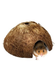 MEDIO COCO ROEDORES