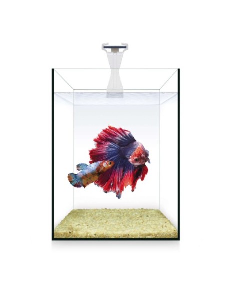 KIT NANO NATURE 4L AQUARIO - Acuario Compacto con Iluminación LED y Filtro Interno | Endanea Mascotas
